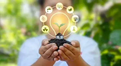 Mobile and Web App Development